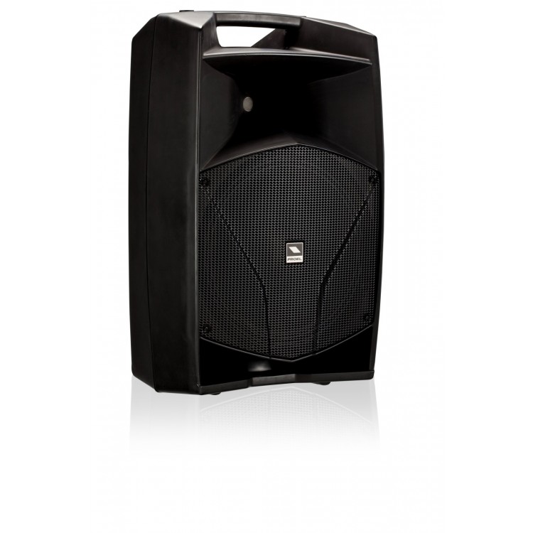 speaker proel 15 inch